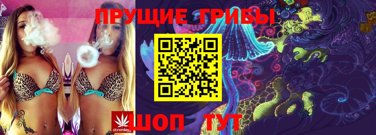 Галлюциногенные грибы MAGIC MUSHROOMS  Галлюциногенные грибы Psilocybine cubensis  Вход с VPN  Сальск 